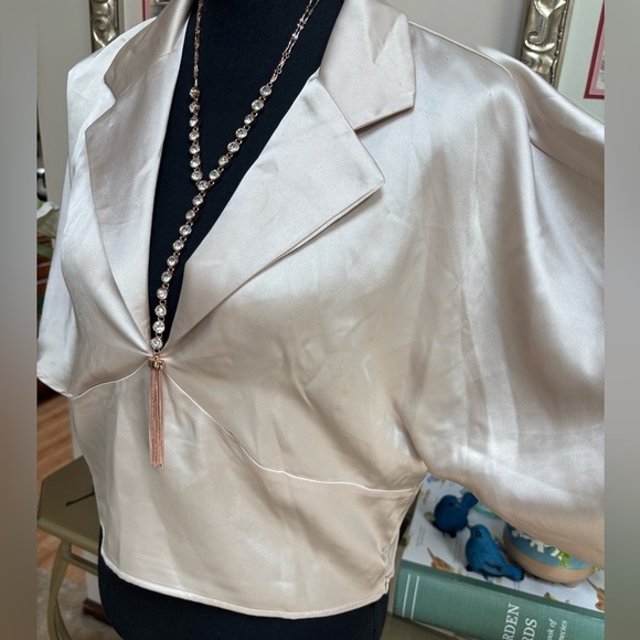 RO+DE TAUPE SATIN FORMAL FLUTTER DOLMAN SLEEVE COLLARED V-NECK CROP TOP SZ L - Picture 4 of 9